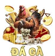 Đá gà cựa dao và kỹ năng chiến đấu